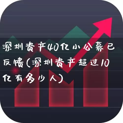 深圳资产40亿小公募已反馈(深圳资产超过10亿有多少人)_https://www.heiljjianzu.com_科创板_第1张