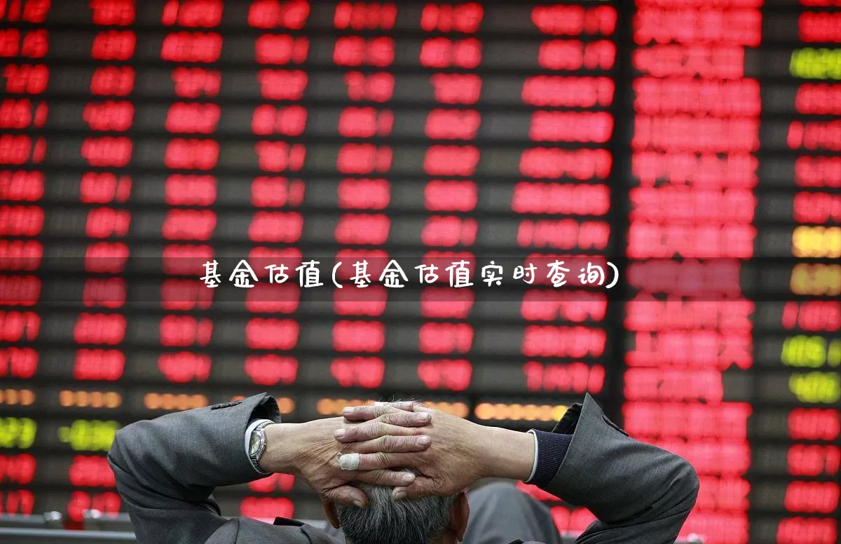 基金估值(基金估值实时查询)_https://www.heiljjianzu.com_创业板_第1张
