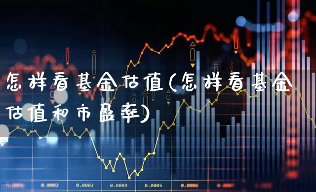 怎样看基金估值(怎样看基金估值和市盈率)_https://www.heiljjianzu.com_创业板_第1张
