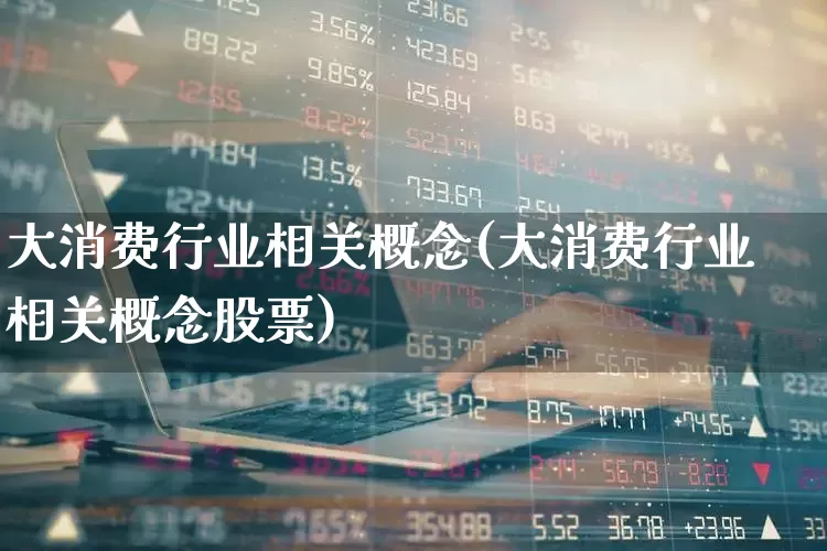 大消费行业相关概念(大消费行业相关概念股票)_https://www.heiljjianzu.com_北交所_第1张
