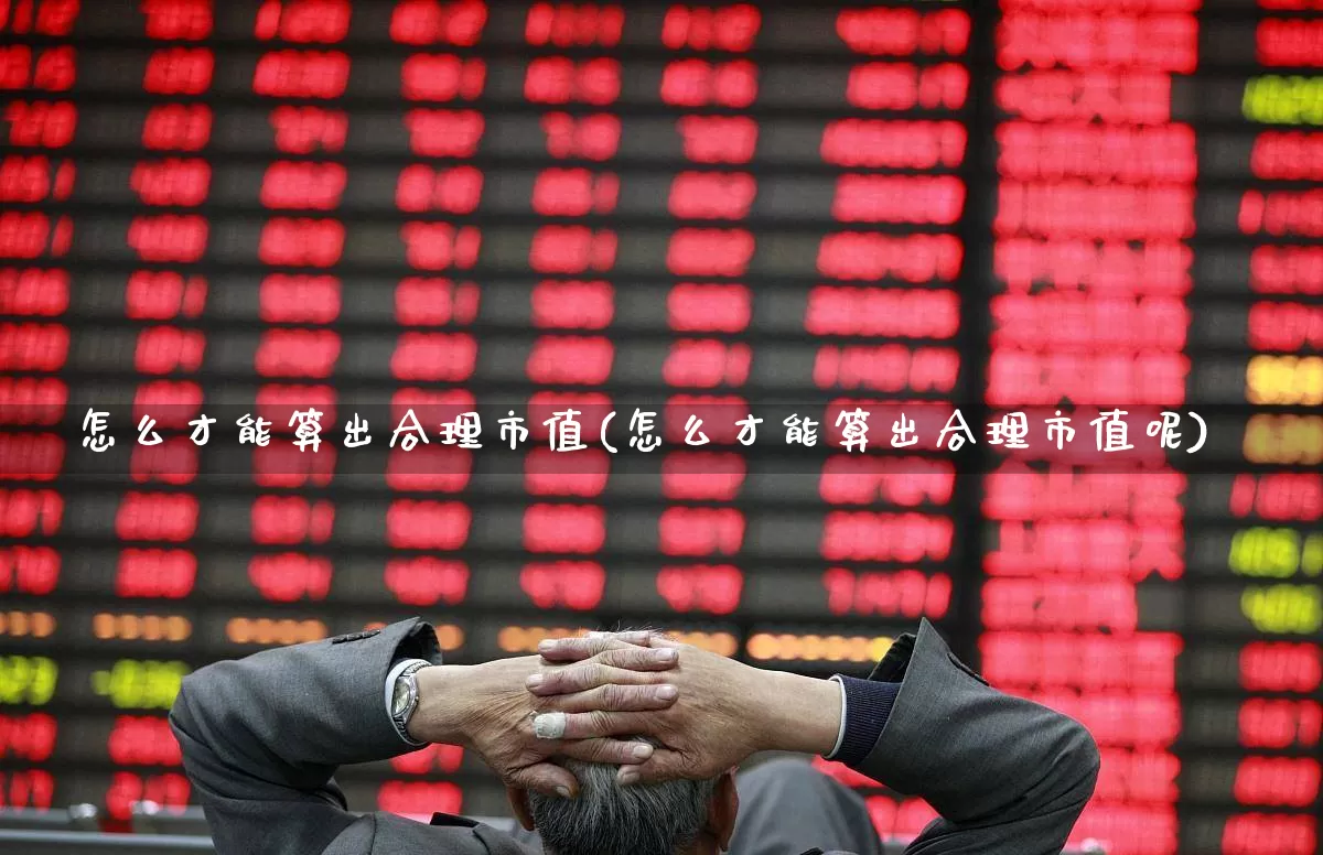 怎么才能算出合理市值(怎么才能算出合理市值呢)_https://www.heiljjianzu.com_上交所_第1张