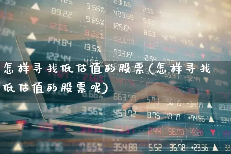 怎样寻找低估值的股票(怎样寻找低估值的股票呢)_https://www.heiljjianzu.com_北交所_第1张