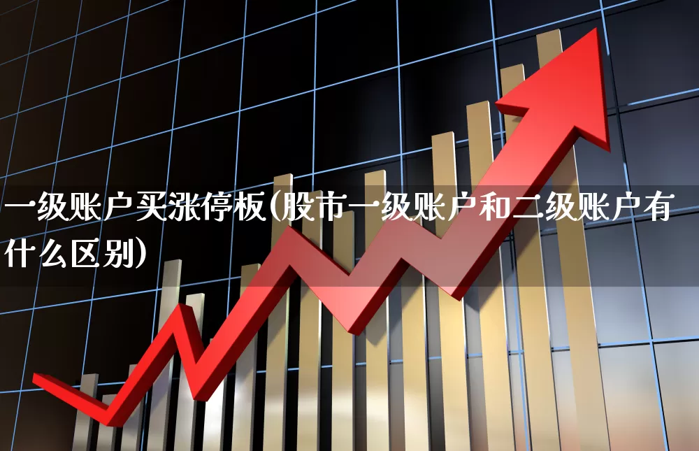 一级账户买涨停板(股市一级账户和二级账户有什么区别)_https://www.heiljjianzu.com_科创板_第1张