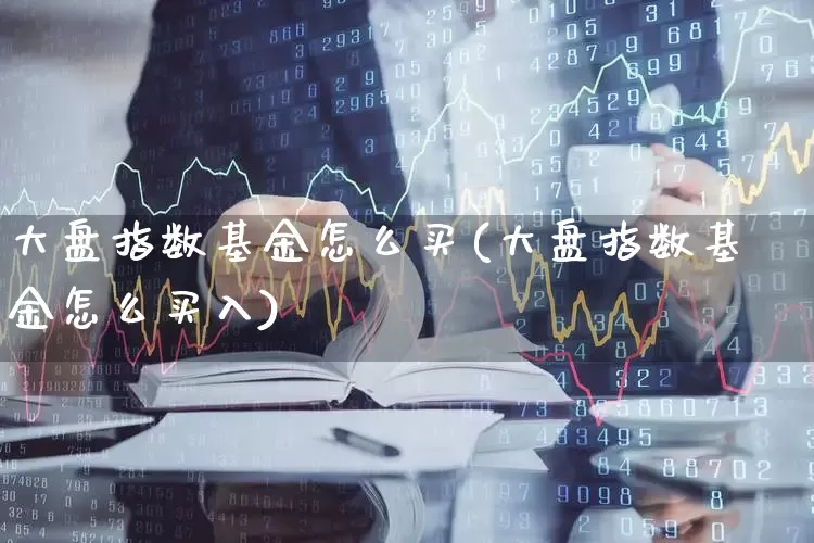 大盘指数基金怎么买(大盘指数基金怎么买入)_https://www.heiljjianzu.com_深交所_第1张