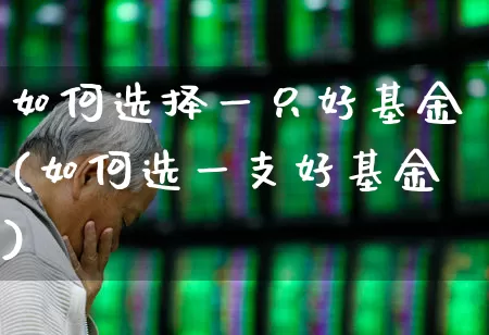如何选择一只好基金(如何选一支好基金)_https://www.heiljjianzu.com_上交所_第1张