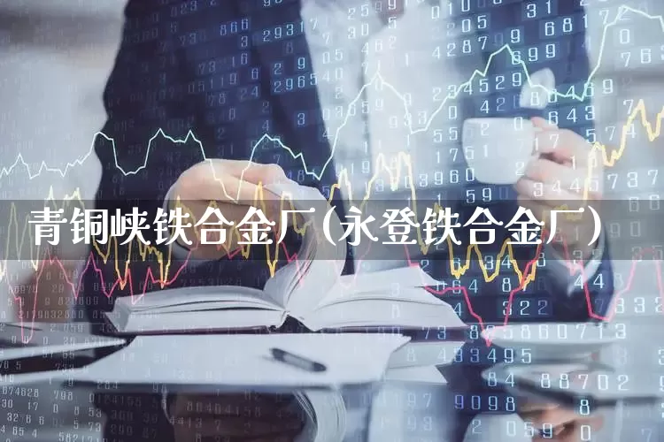 青铜峡铁合金厂(永登铁合金厂)_https://www.heiljjianzu.com_上交所_第1张