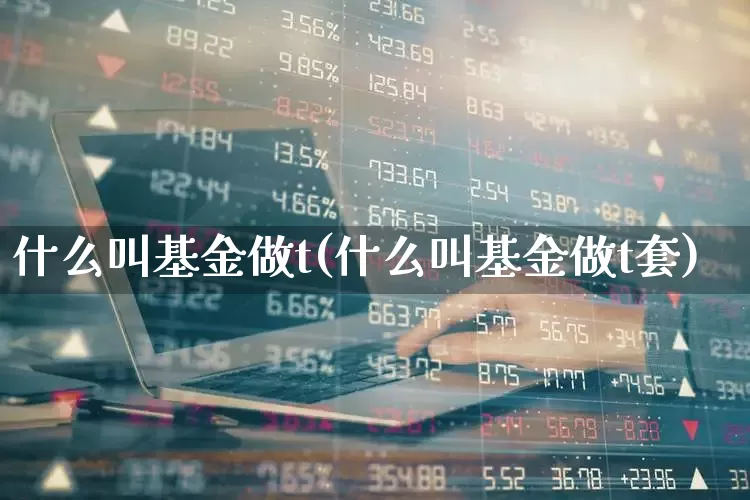 什么叫基金做t(什么叫基金做t套)_https://www.heiljjianzu.com_科创板_第1张