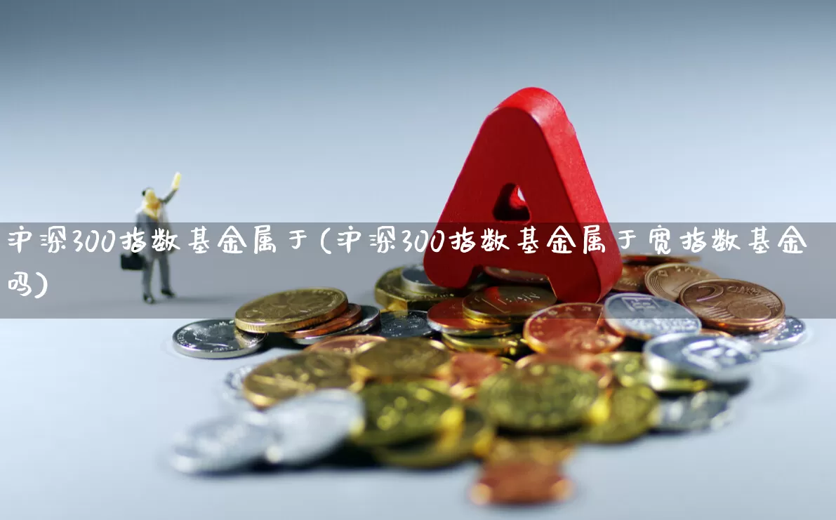 沪深300指数基金属于(沪深300指数基金属于宽指数基金吗)_https://www.heiljjianzu.com_北交所_第1张
