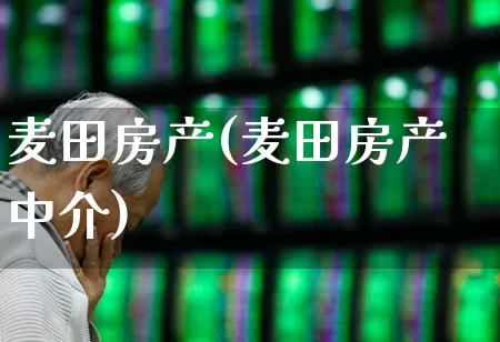 麦田房产(麦田房产中介)_https://www.heiljjianzu.com_上交所_第1张