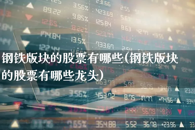 钢铁版块的股票有哪些(钢铁版块的股票有哪些龙头)_https://www.heiljjianzu.com_创业板_第1张