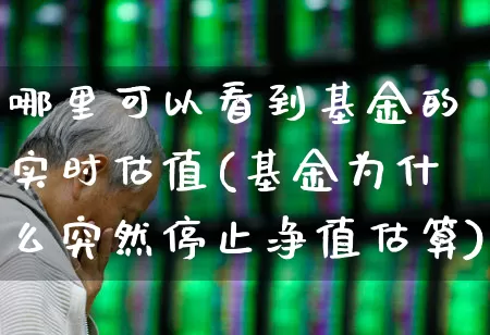 哪里可以看到基金的实时估值(基金为什么突然停止净值估算)_https://www.heiljjianzu.com_科创板_第1张