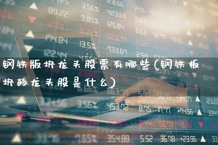 钢铁版块龙头股票有哪些(钢铁板块的龙头股是什么)_https://www.heiljjianzu.com_上交所_第1张