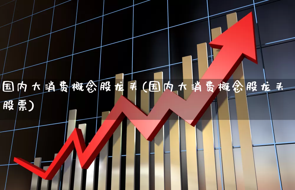 国内大消费概念股龙头(国内大消费概念股龙头股票)_https://www.heiljjianzu.com_北交所_第1张