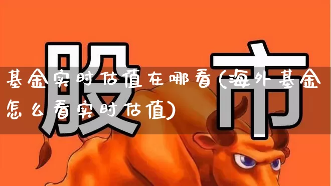 基金实时估值在哪看(海外基金怎么看实时估值)_https://www.heiljjianzu.com_深交所_第1张
