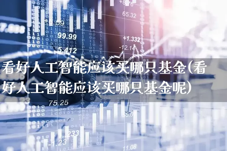 看好人工智能应该买哪只基金(看好人工智能应该买哪只基金呢)_https://www.heiljjianzu.com_北交所_第1张