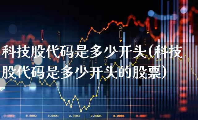 科技股代码是多少开头(科技股代码是多少开头的股票)_https://www.heiljjianzu.com_北交所_第1张