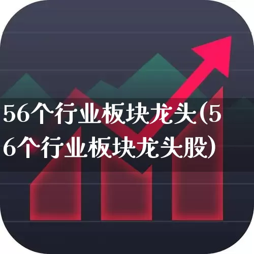 56个行业板块龙头(56个行业板块龙头股)_https://www.heiljjianzu.com_创业板_第1张