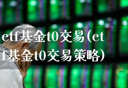 etf基金t0交易(etf基金t0交易策略)_https://www.heiljjianzu.com_北交所_第1张