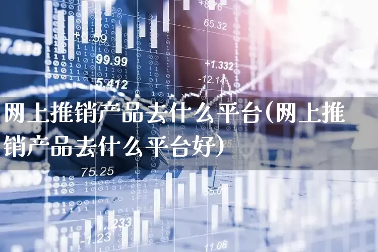 网上推销产品去什么平台(网上推销产品去什么平台好)_https://www.heiljjianzu.com_北交所_第1张