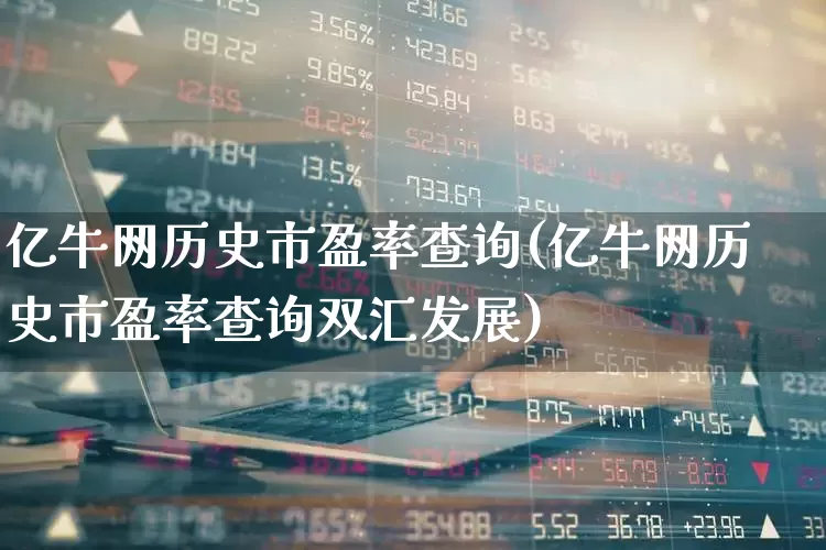 亿牛网历史市盈率查询(亿牛网历史市盈率查询双汇发展)_https://www.heiljjianzu.com_深交所_第1张