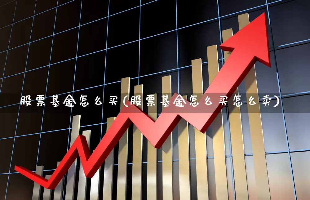 股票基金怎么买(股票基金怎么买怎么卖)_https://www.heiljjianzu.com_深交所_第1张