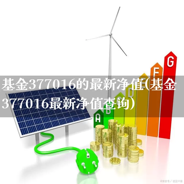 基金377016的最新净值(基金377016最新净值查询)_https://www.heiljjianzu.com_创业板_第1张