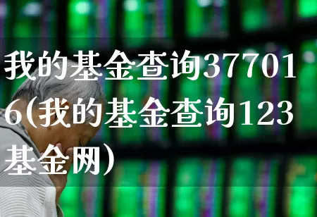 我的基金查询377016(我的基金查询123基金网)_https://www.heiljjianzu.com_北交所_第1张
