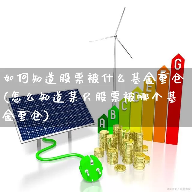 如何知道股票被什么基金重仓(怎么知道某只股票被哪个基金重仓)_https://www.heiljjianzu.com_创业板_第1张