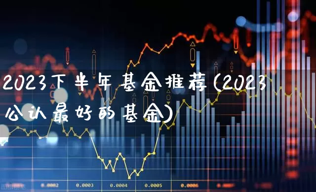 2023下半年基金推荐(2023公认最好的基金)_https://www.heiljjianzu.com_科创板_第1张