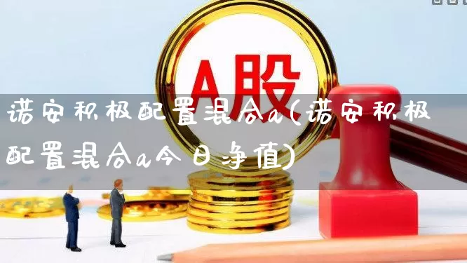 诺安积极配置混合a(诺安积极配置混合a今日净值)_https://www.heiljjianzu.com_北交所_第1张