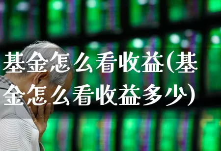 基金怎么看收益(基金怎么看收益多少)_https://www.heiljjianzu.com_深交所_第1张