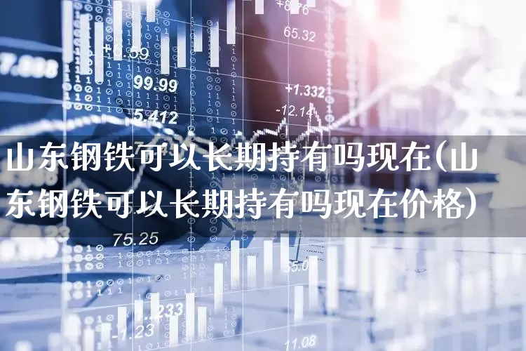 山东钢铁可以长期持有吗现在(山东钢铁可以长期持有吗现在价格)_https://www.heiljjianzu.com_上交所_第1张