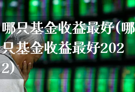 哪只基金收益最好(哪只基金收益最好2022)_https://www.heiljjianzu.com_北交所_第1张
