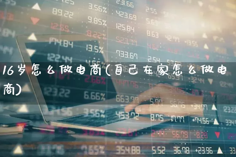 16岁怎么做电商(自己在家怎么做电商)_https://www.heiljjianzu.com_北交所_第1张