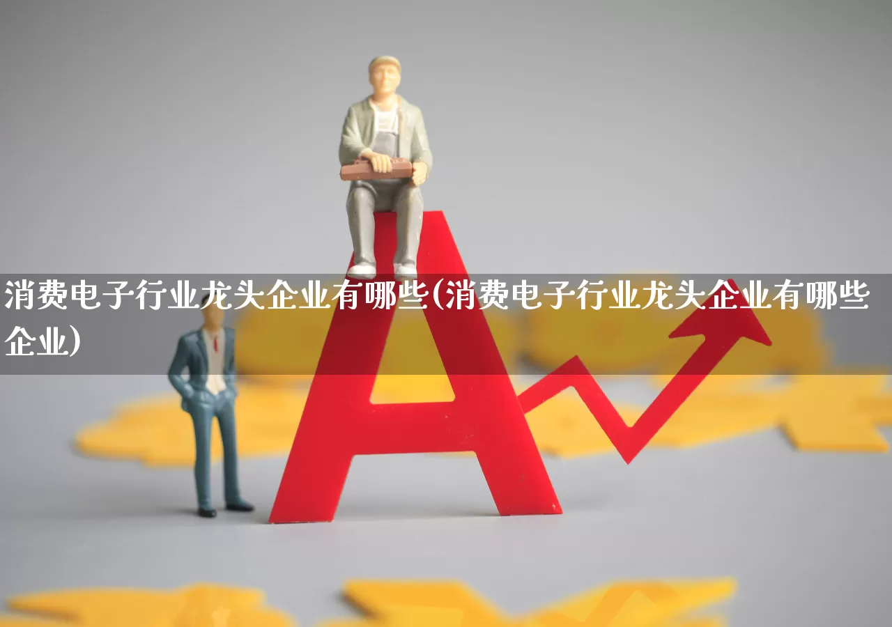 消费电子行业龙头企业有哪些(消费电子行业龙头企业有哪些企业)_https://www.heiljjianzu.com_深交所_第1张