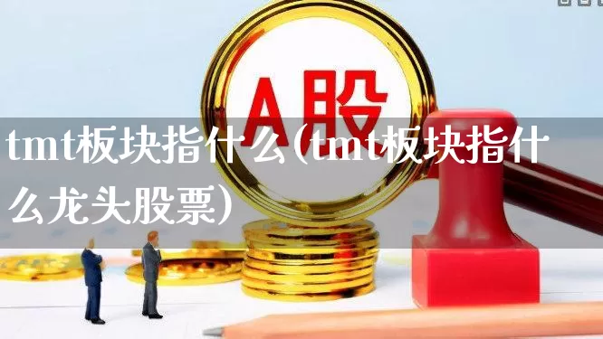 tmt板块指什么(tmt板块指什么龙头股票)_https://www.heiljjianzu.com_北交所_第1张