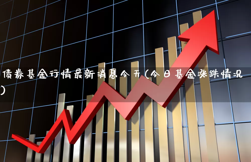 债券基金行情最新消息今天(今日基金涨跌情况)_https://www.heiljjianzu.com_上交所_第1张