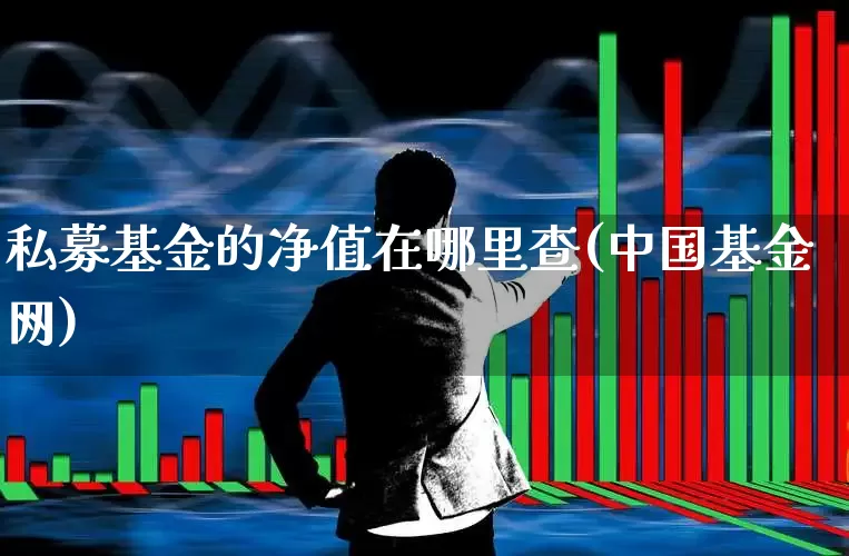私募基金的净值在哪里查(中国基金网)_https://www.heiljjianzu.com_深交所_第1张