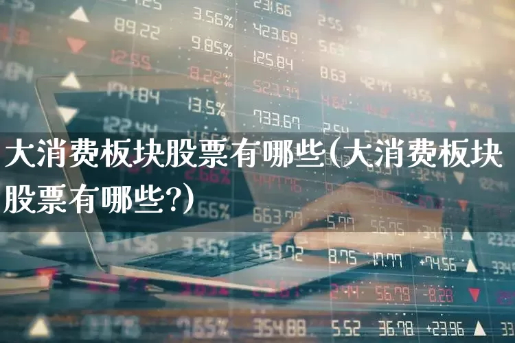 大消费板块股票有哪些(大消费板块股票有哪些?)_https://www.heiljjianzu.com_深交所_第1张