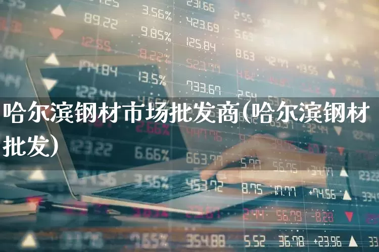 哈尔滨钢材市场批发商(哈尔滨钢材批发)_https://www.heiljjianzu.com_科创板_第1张