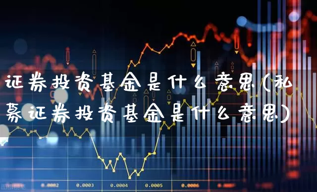 证券投资基金是什么意思(私募证券投资基金是什么意思)_https://www.heiljjianzu.com_创业板_第1张