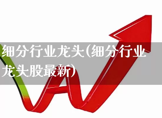 细分行业龙头(细分行业龙头股最新)_https://www.heiljjianzu.com_上交所_第1张