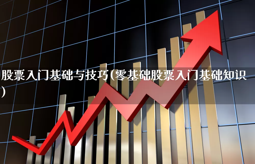 股票入门基础与技巧(零基础股票入门基础知识)_https://www.heiljjianzu.com_上交所_第1张