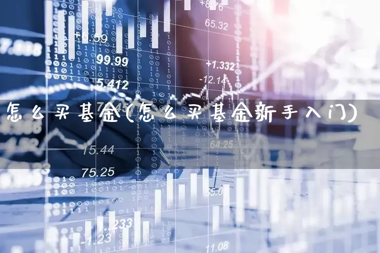 怎么买基金(怎么买基金新手入门)_https://www.heiljjianzu.com_北交所_第1张