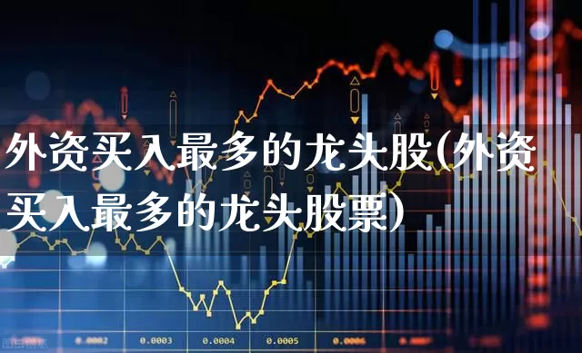 外资买入最多的龙头股(外资买入最多的龙头股票)_https://www.heiljjianzu.com_上交所_第1张