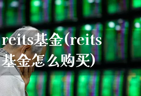 reits基金(reits基金怎么购买)_https://www.heiljjianzu.com_深交所_第1张