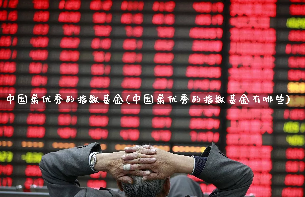 中国最优秀的指数基金(中国最优秀的指数基金有哪些)_https://www.heiljjianzu.com_上交所_第1张
