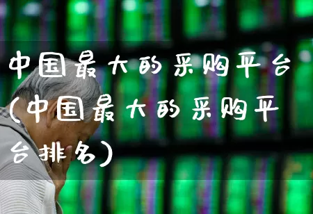 中国最大的采购平台(中国最大的采购平台排名)_https://www.heiljjianzu.com_深交所_第1张