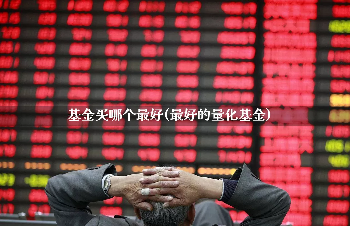 基金买哪个最好(最好的量化基金)_https://www.heiljjianzu.com_创业板_第1张