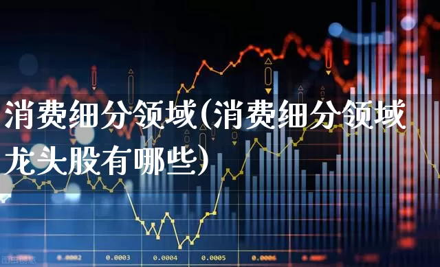 消费细分领域(消费细分领域龙头股有哪些)_https://www.heiljjianzu.com_深交所_第1张